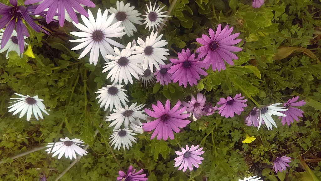 Foursquare Church | 1470 McKinley Ave, San Jose, CA 95126, USA | Phone: (408) 293-4452