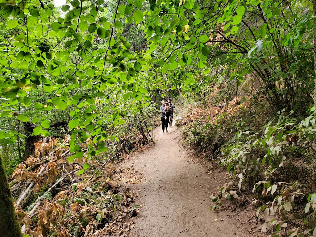 St Edward State Park Grotto | Kenmore, WA 98028, USA | Phone: (425) 649-4275