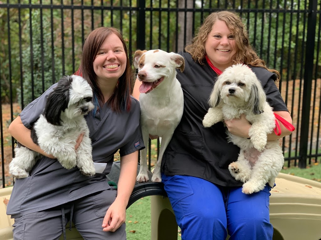 Kennesaw Mountain Animal Hospital | 1600 Kennesaw Due West Rd NW building 800, Kennesaw, GA 30152, USA | Phone: (770) 419-0362