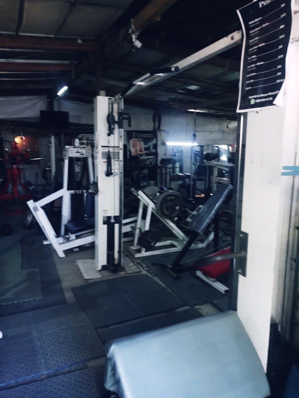 Edzu GYM & Fitness | 22330 Tijuana, Baja California, Mexico | Phone: 664 367 4559