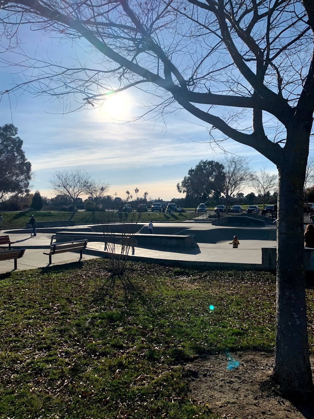 Livermore Skatepark | 3800 Pacific Ave, Livermore, CA 94550, USA | Phone: (925) 373-5700