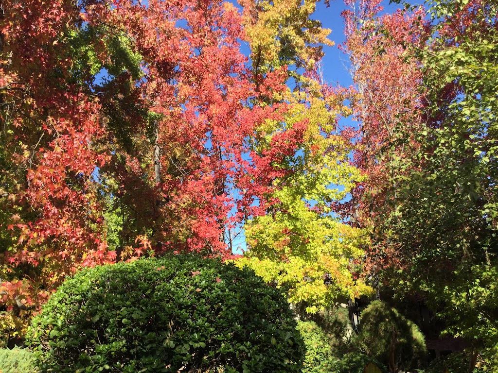 Brookview Park | 1201 Monument Blvd, Concord, CA 94520, USA | Phone: (925) 682-0433