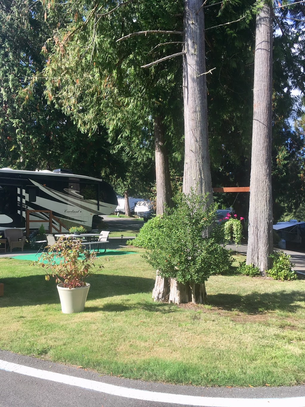 Blue Sky RV Park | 9002 302nd Ave SE, Issaquah, WA 98027, USA | Phone: (425) 222-7910