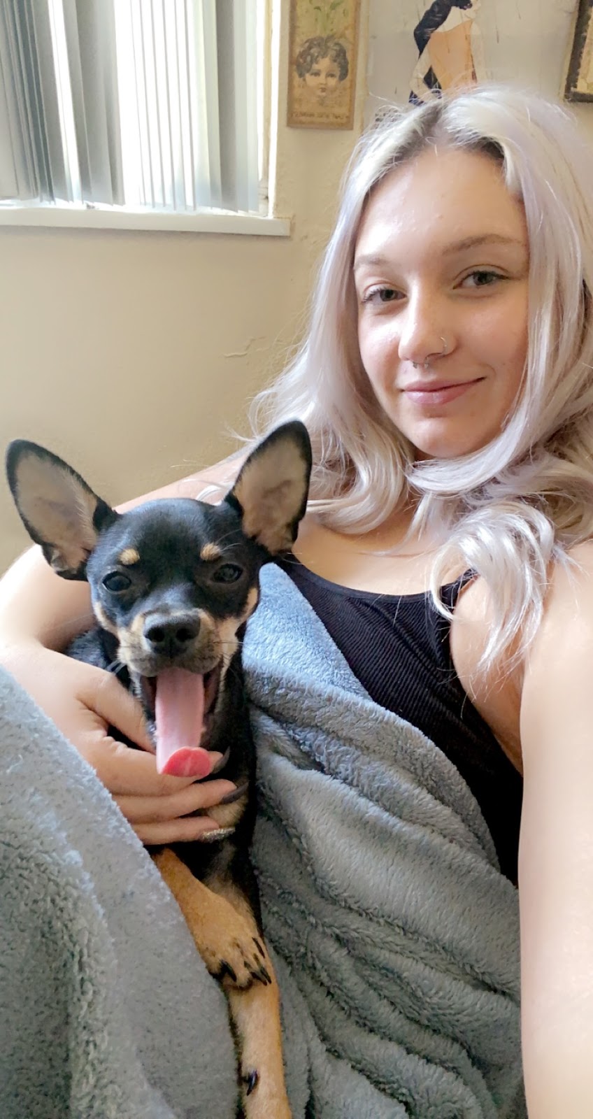 Fountain Valley Animal Hospital | 311 Main St, Colorado Springs, CO 80911, USA | Phone: (719) 392-4213