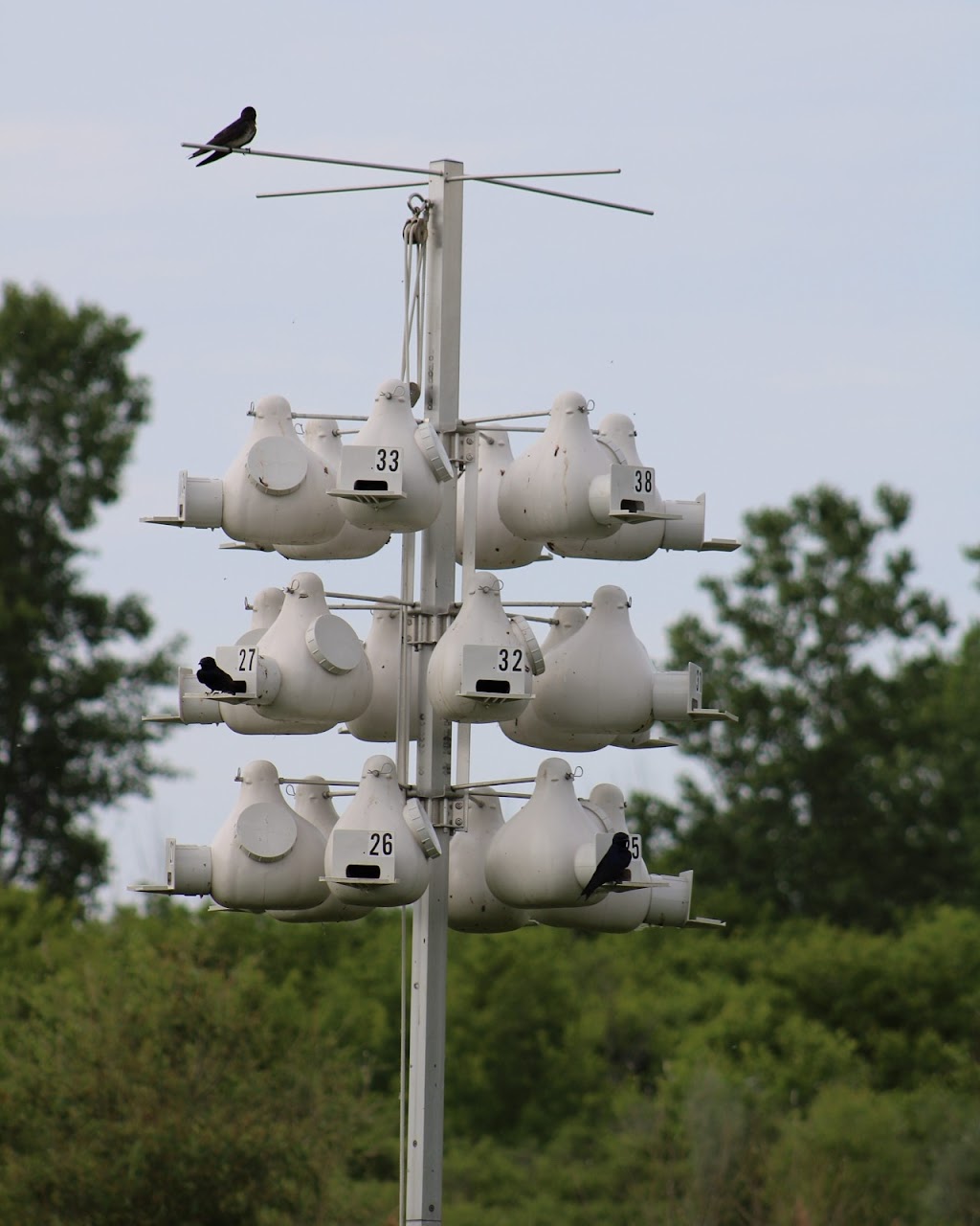 Ottawa National Wildlife Refuge Visitor Center | 14000 OH-2, Oak Harbor, OH 43449, USA | Phone: (419) 898-0014