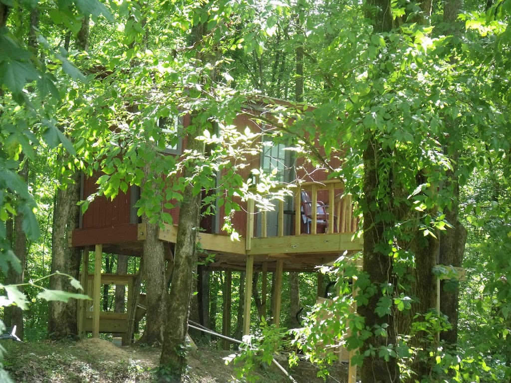 Bear Claw Treehouse | 6621 AL-23, Springville, AL 35146, USA | Phone: (205) 960-8215