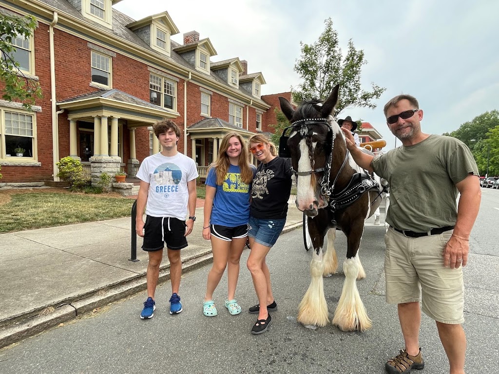 Dorvits Carriage Rides | 7141 Dennis Rd, Walnut Cove, NC 27052, USA | Phone: (336) 754-1172