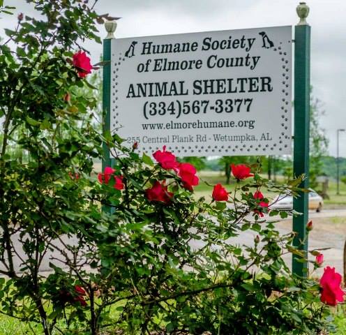 Humane Society of Elmore County | 255 Central Plank Rd, Wetumpka, AL 36092, USA | Phone: (334) 567-3377
