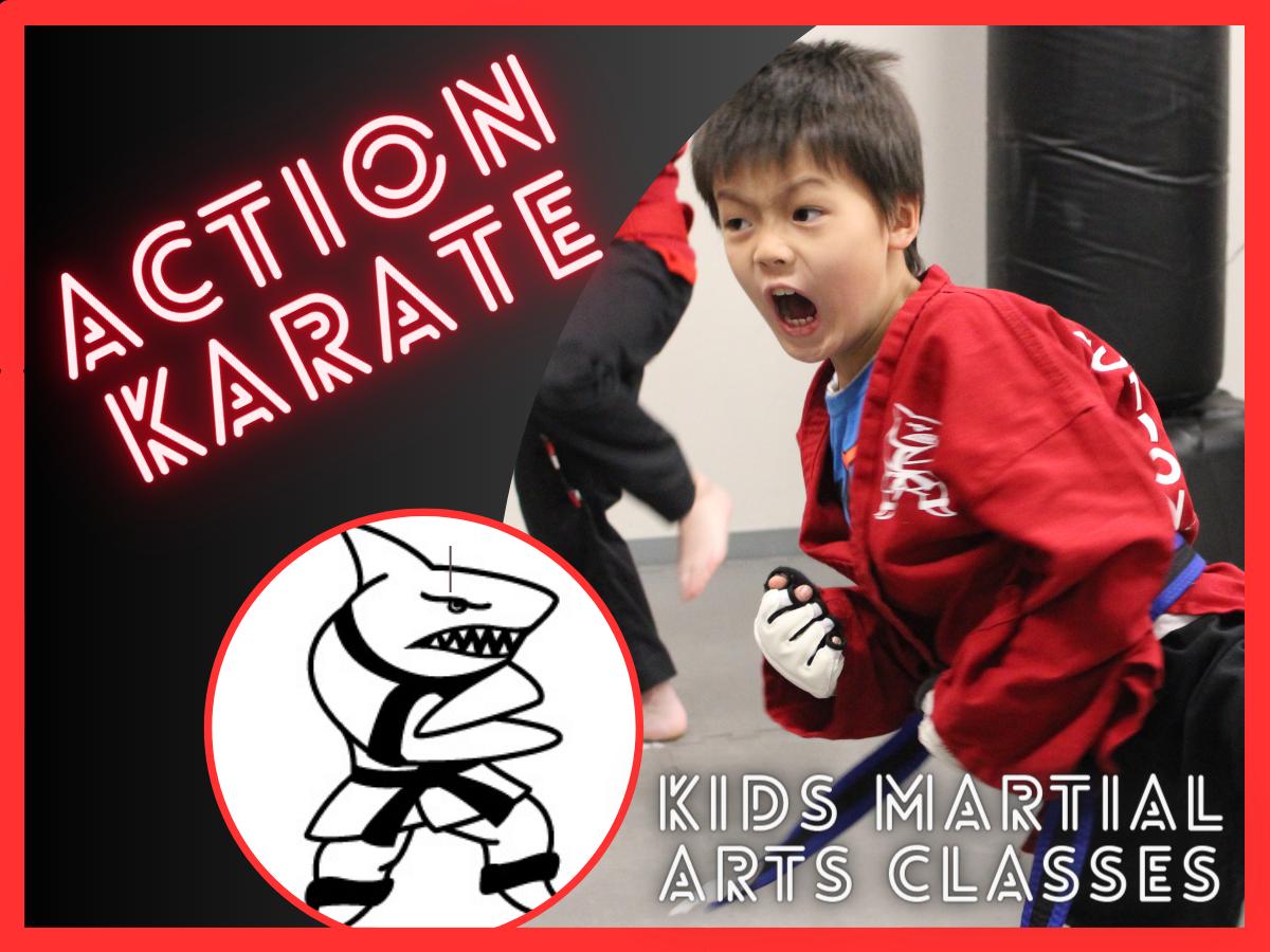 Action Karate Plymouth | 1980 Butler Pike, Conshohocken, PA 19428, United States | Phone: (610) 834-7650