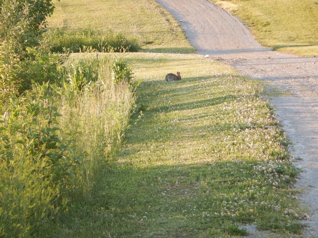 Delaware City Wetlands Park | Delaware, OH 43015, USA | Phone: (740) 203-1810