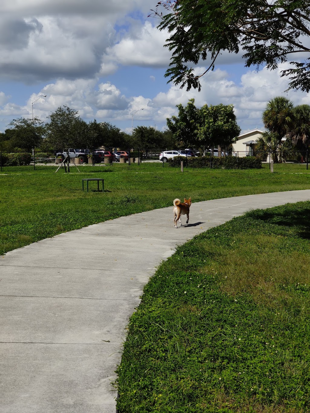 Bark Park | 11255 SW 157th Ave, Miami, FL 33196, USA | Phone: (305) 386-0227