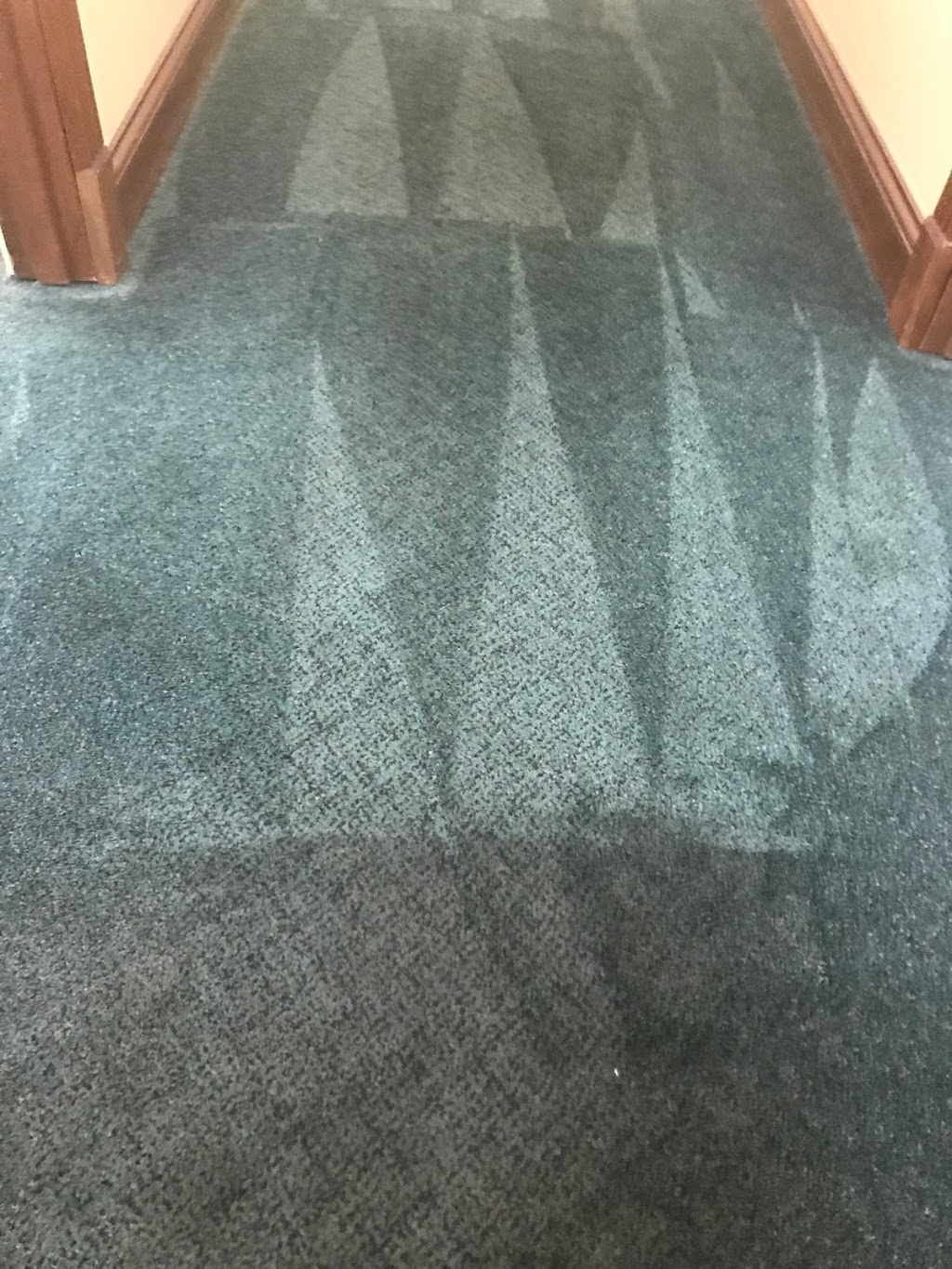 Kleentech Inc. Carpet & Upholstery Cleaning | 251 Hillock Dr, Coxs Creek, KY 40013, USA | Phone: (502) 543-7529