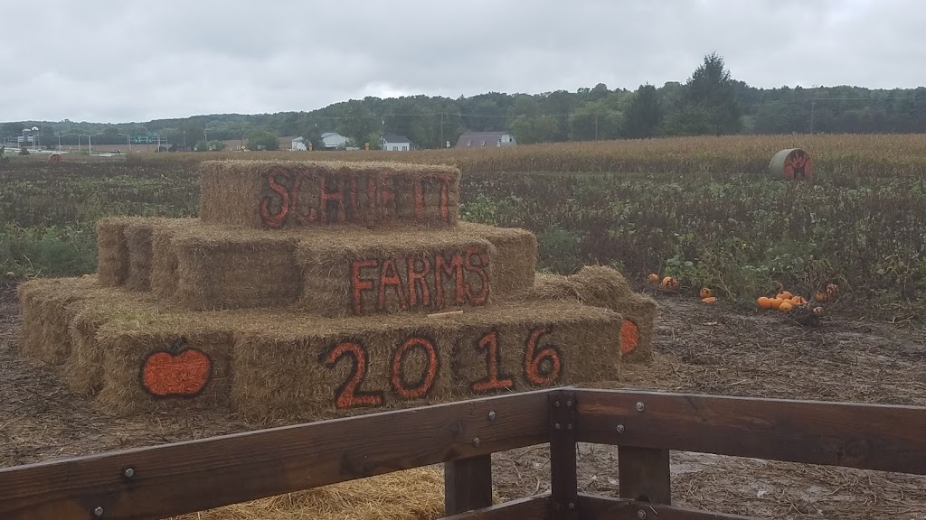 Schuett Farms | W299 S6370 WI-83, Mukwonago, WI 53149, USA | Phone: (262) 968-4348