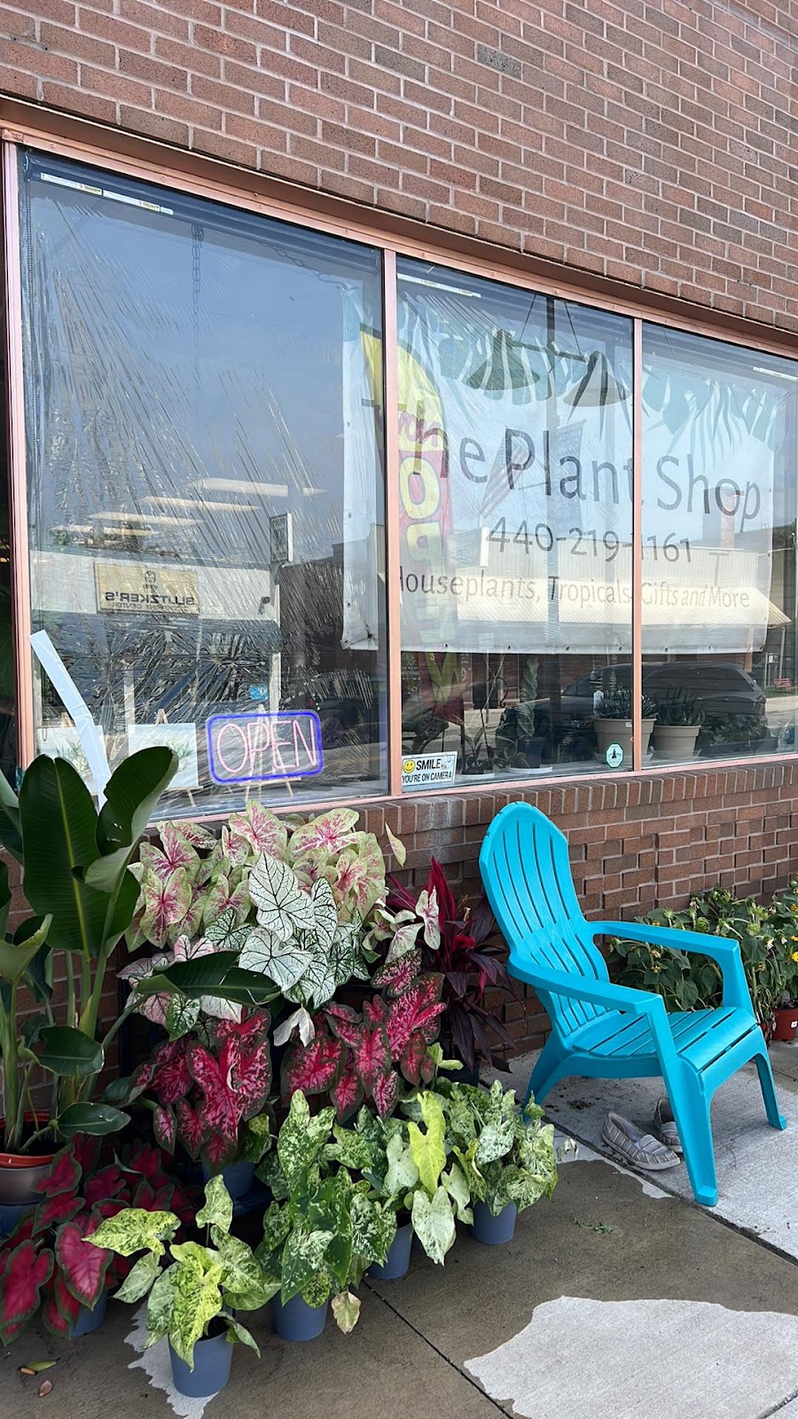 The Plant Shop | 728 Broadway, Lorain, OH 44052, USA | Phone: (440) 219-1161