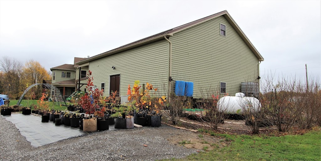CW Native Plant Farm | 12288 Tonawanda Creek Rd, Akron, NY 14001 | Phone: (716) 417-2626