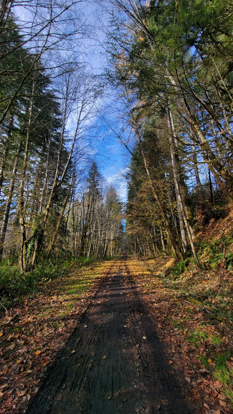 Chapman Landing Trailhead - CZ Trail | Unnamed Road, Scappoose, OR 97056, USA | Phone: (503) 543-7146