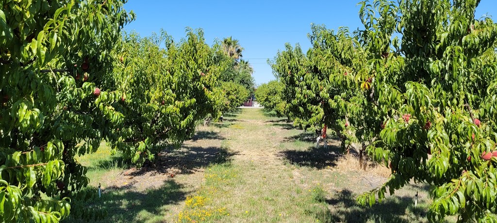 Heritage Family Farm | 2500 Concord Ave, Brentwood, CA 94513, USA | Phone: (925) 204-5797