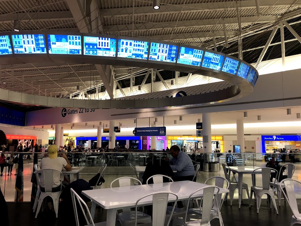 TAP Air Portugal | Jamaica, NY 11430, USA | Phone: (800) 903-7914