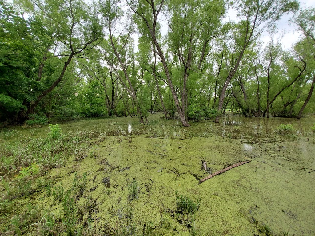 Floating Bridge Lake Weatherford | lake park, 2912 E Lake Dr, Weatherford, TX 76087, USA | Phone: (817) 598-4124