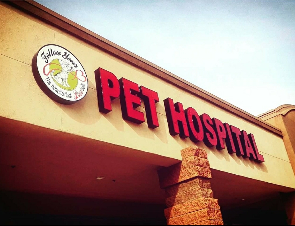 Follow Your Heart Animal Hospital | 446 N Higley Rd UNIT 103, Mesa, AZ 85205, USA | Phone: (480) 867-1898