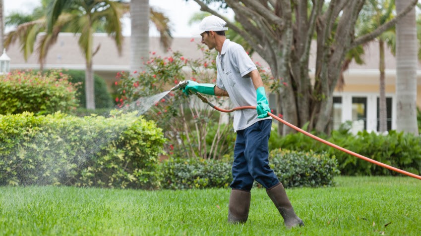 Green-Tech Termite and Pest Control | 1395 Belcher Rd, Palm Harbor, FL 34683, USA | Phone: (727) 772-7378