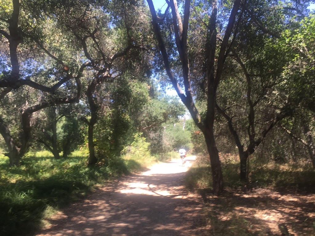 Lopez-Penasquitos canyon confluence | San Diego, CA 92121, USA | Phone: (619) 525-8213