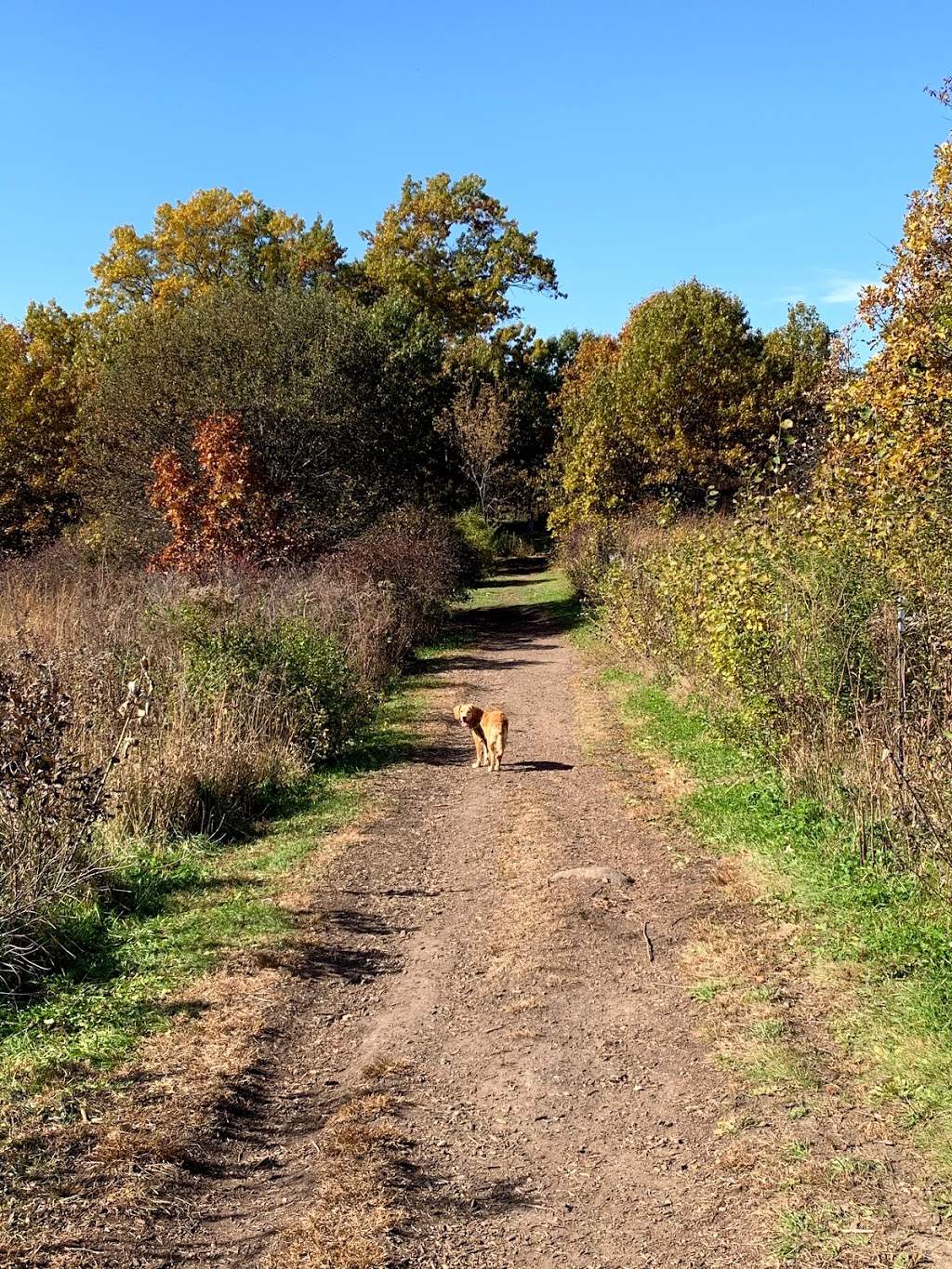 Prairie Moraine Dog Park | 6679 Wesner Ln, Verona, WI 53593 | Phone: (608) 224-3730