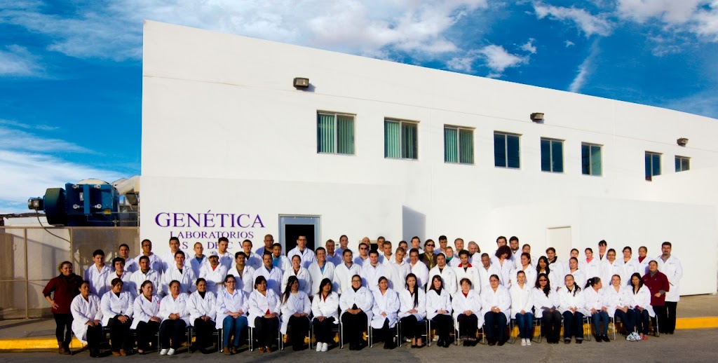 Genetica Laboratorios, S.A. de C.V. | Olivo 208, Industrial, 21432 Tecate, B.C., Mexico | Phone: 665 655 0619