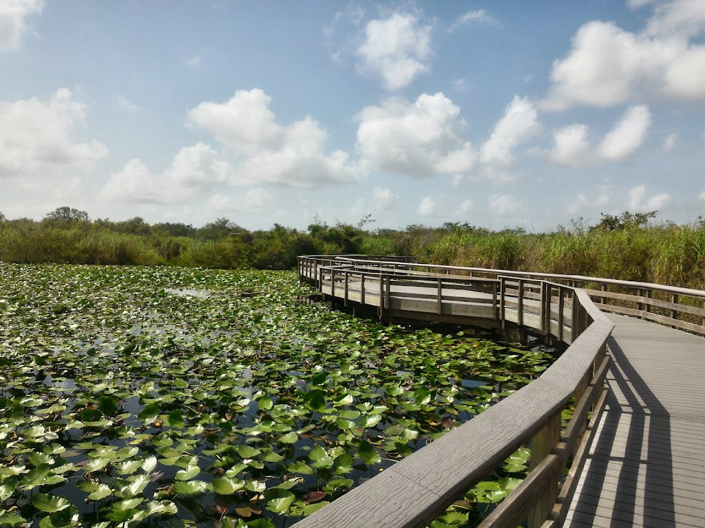 Everglades National Park | Florida, USA | Phone: (305) 242-7700