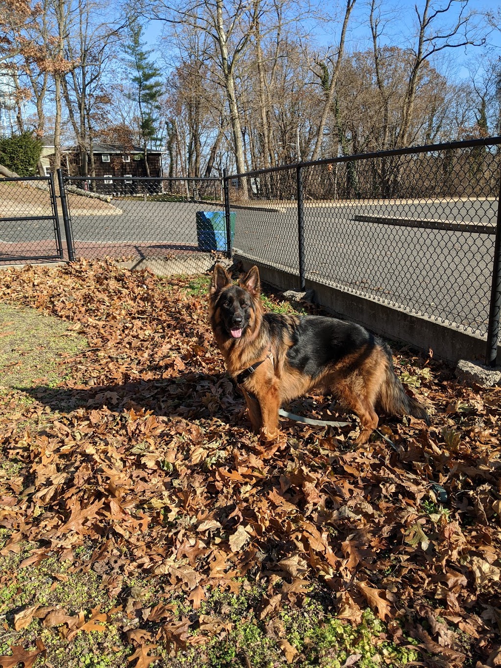 Dennis Brian Murray Dog Park | 12 E Leech Cir, Glen Cove, NY 11542, USA | Phone: (516) 676-3766