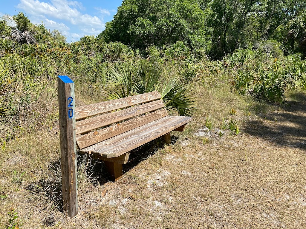 Curry Creek Preserve - East | 1500 Pinebrook Rd, Venice, FL 34285, USA | Phone: (941) 861-5000