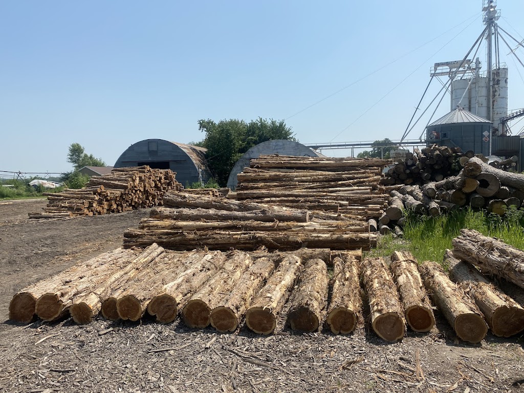 Bohemian Lumberjack Company, LLC | 131 Ann St, Morse Bluff, NE 68648, USA | Phone: (402) 719-7119