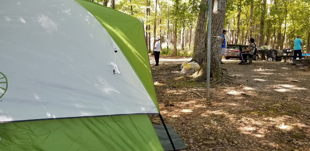 Shinleaf Group Campsites | 13708 New Light Rd, Wake Forest, NC 27587, USA | Phone: (919) 676-1027