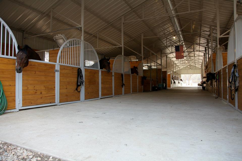 Coraggio Equestrian | 12901 Trail End, Austin, TX 78737, USA | Phone: (512) 567-9723