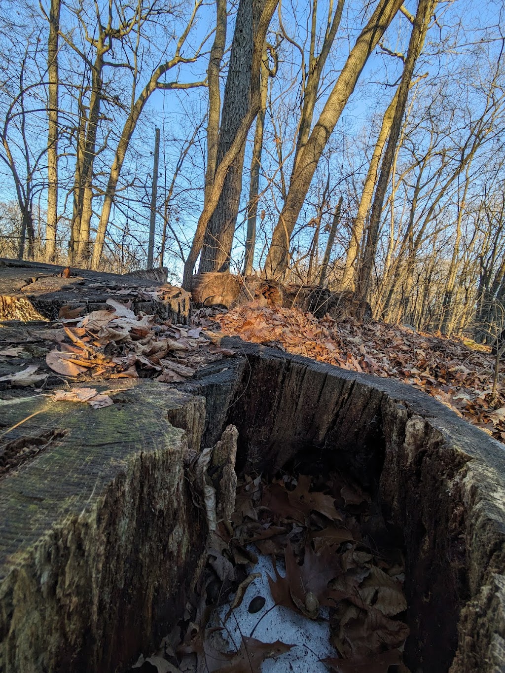 Huron Parkway Nature Area | 1905 Huron Pkwy, Ann Arbor, MI 48104, USA | Phone: (734) 794-6230