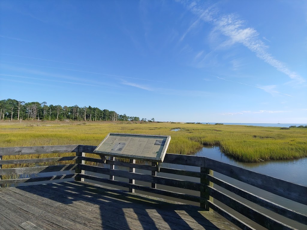 New Point Comfort Natural Area Preserve | New Point Comfort Natural Area Preserve, Port Haywood, VA 23138, USA | Phone: (434) 225-2303