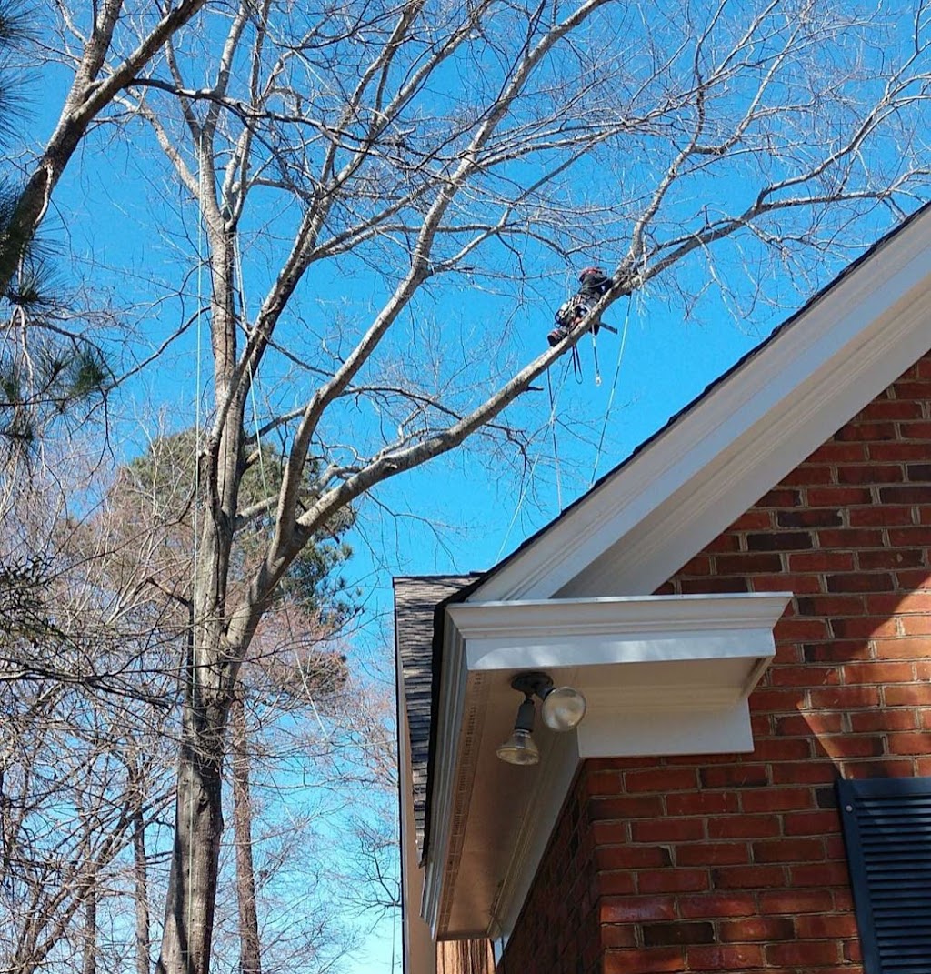 Fall Line Tree Service LLC | 309 Clark Rd, Seale, AL 36875 | Phone: (770) 468-2311