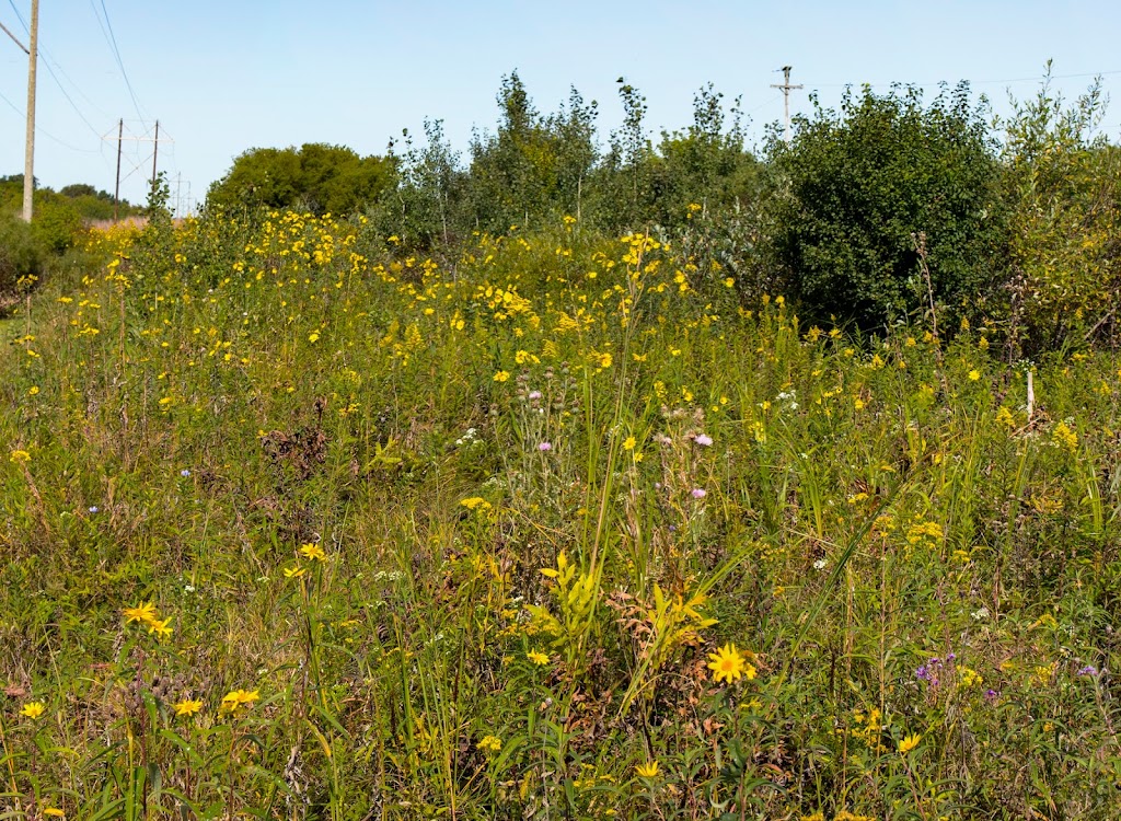 Kessler Railroad Prairie State Natural Area | Janesville, WI 53548, USA | Phone: (888) 936-7463