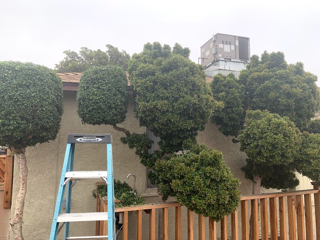 Santos Gardening and Tree Service | 13031 Willard St, North Hollywood, CA 91605, USA | Phone: (818) 400-5146