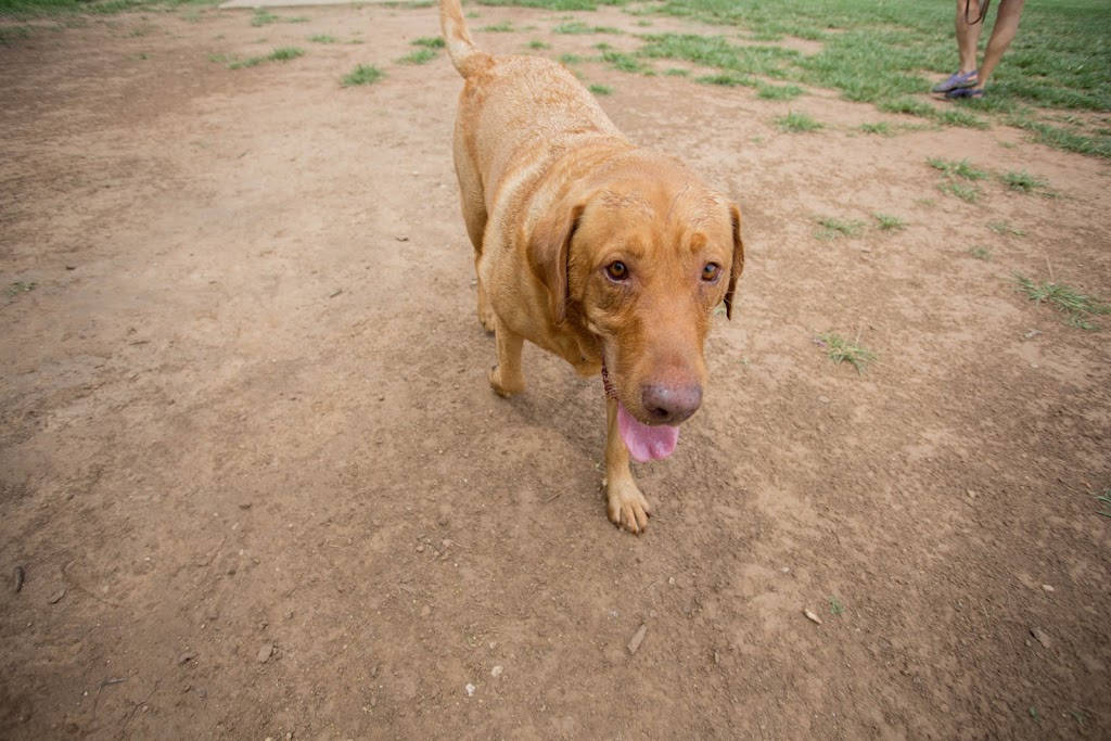 Tails N Trails Dog Park | 950 SE Green Oaks Blvd, Arlington, TX 76018, USA | Phone: (817) 459-5474