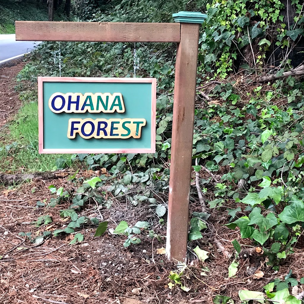 Ohana Forest | 13444 Big Basin Way, Boulder Creek, CA 95006, USA | Phone: (831) 419-8794