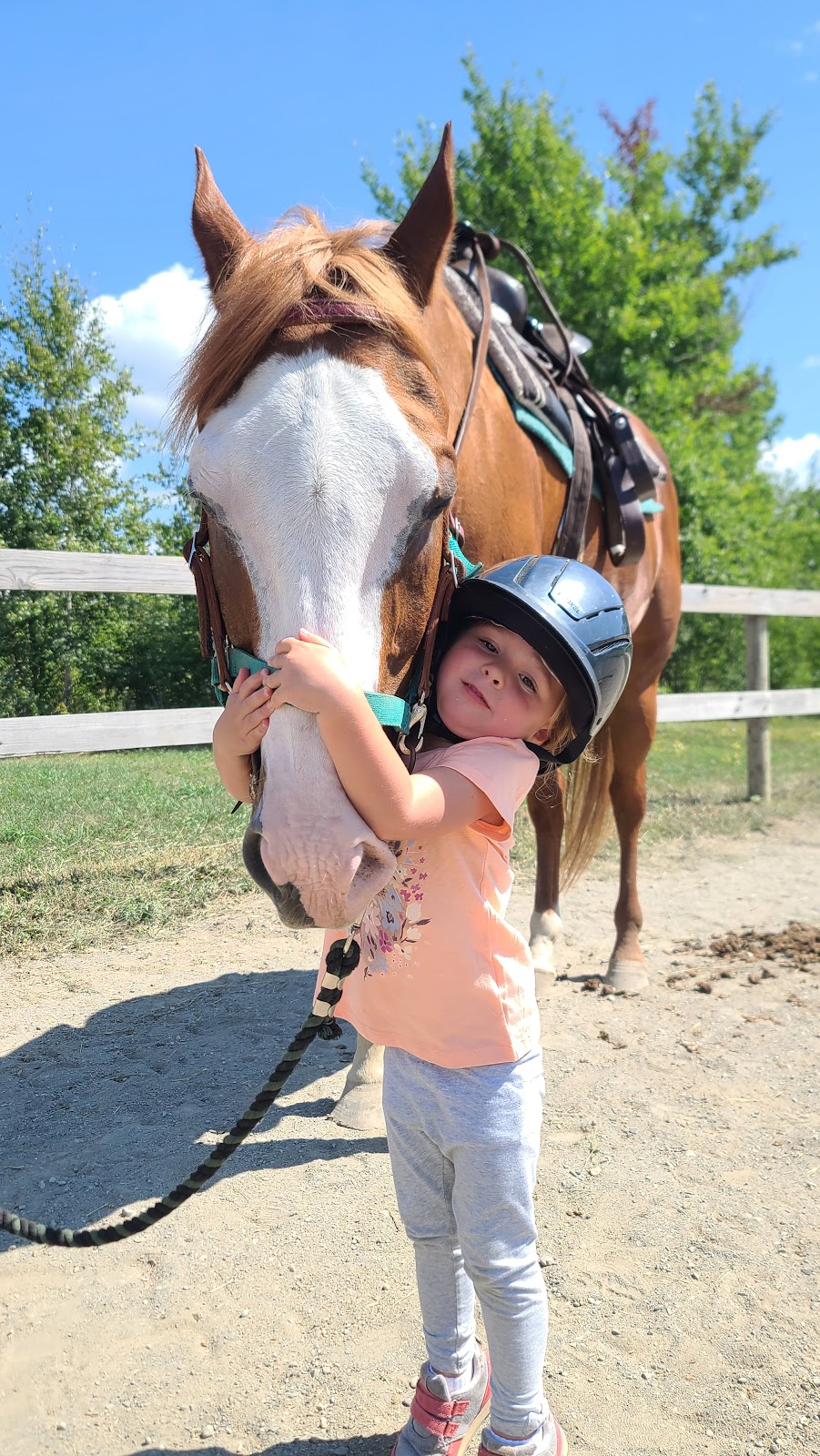 Open Arms Equestrian Center | 75 Eastern Pkwy, Germantown, NY 12526, USA | Phone: (518) 676-2767