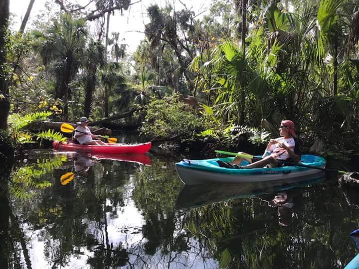 Coconut Kayak Tours | 1 Causeway Blvd, Clearwater, FL 33767, USA | Phone: (727) 238-1960