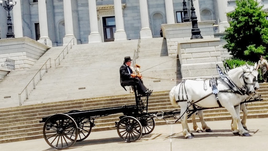 Gold Leaf Carriage | 1520 Weslyn Springs Way, Fuquay-Varina, NC 27526, USA | Phone: (919) 614-5306