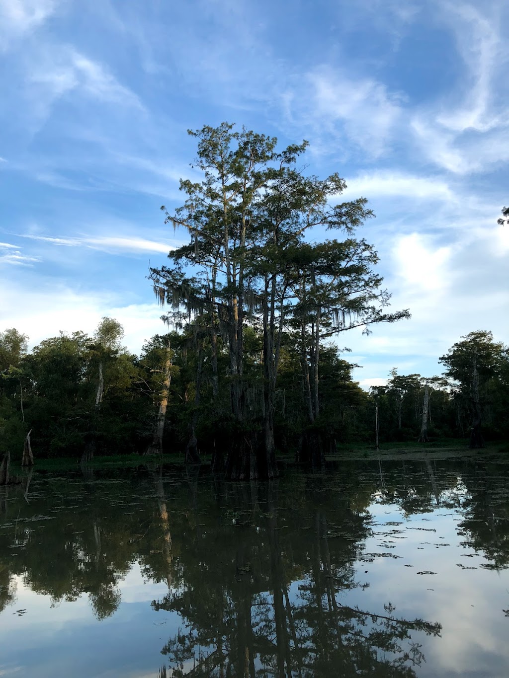 Bayou Sorrel Branch Library | 33415 LA-75, Plaquemine, LA 70764, USA | Phone: (225) 659-7055