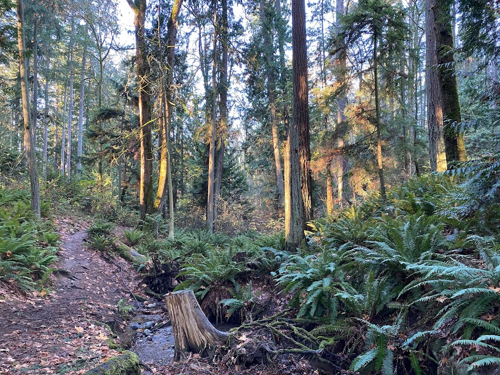 Poulsbo Wilderness Trail | 18943 Caldart Ave NE, Poulsbo, WA 98370, USA | Phone: (360) 779-9898