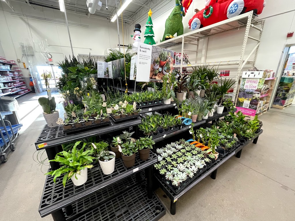 Walmart Garden Center | 8250 Razorback Rd, Colorado Springs, CO 80920, USA | Phone: (719) 593-2300