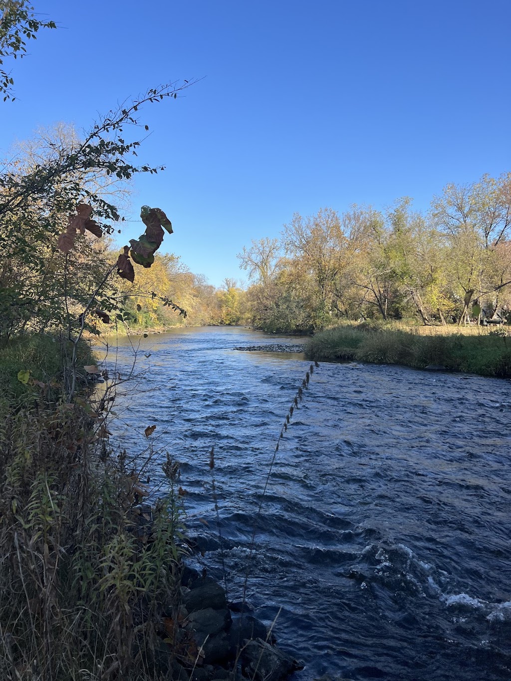 Riverwood Nature Center | 300 W 1st St, Star Prairie, WI 54026, USA | Phone: (715) 248-7400