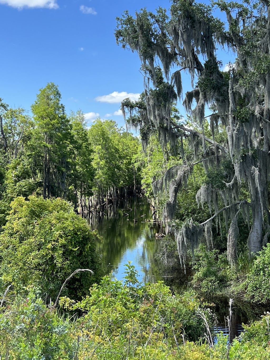 Tenoroc Public Use Area | 3755 Tenoroc Mine Rd, Lakeland, FL 33805, USA | Phone: (863) 606-0093