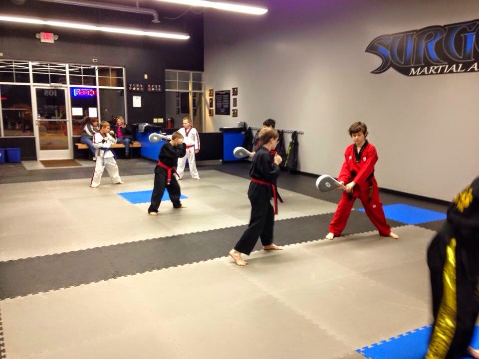 Surge Martial Arts | N56W14044 Silver Spring Dr #108, Menomonee Falls, WI 53051, USA | Phone: (262) 391-6306